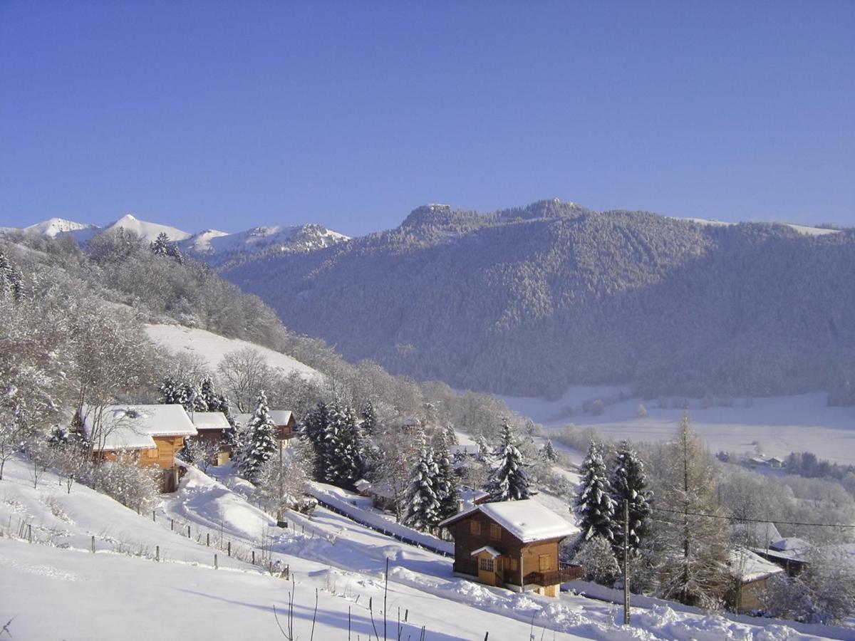 Appartement Chalet Renove 6 Pers Avec Terrasse Proche Evian, Ski Et Randonnee - Fr-1-498-29 Saint-Paul-en-Chablais Exteriér fotografie